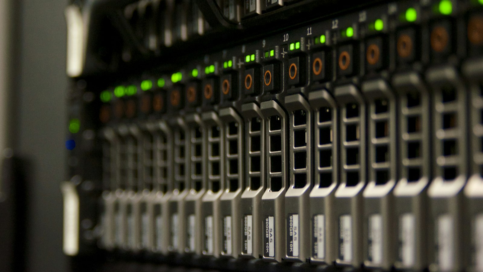 A long row of hot-swap hard drive bays in a rack-mounted storage array, green activity lights glowing beside numbered carriers labelled with their drive capacity